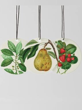 Scentsy 🍐 3 pack Farmers Market Scent Circle Fresh Fruits Strawberries Pear NW